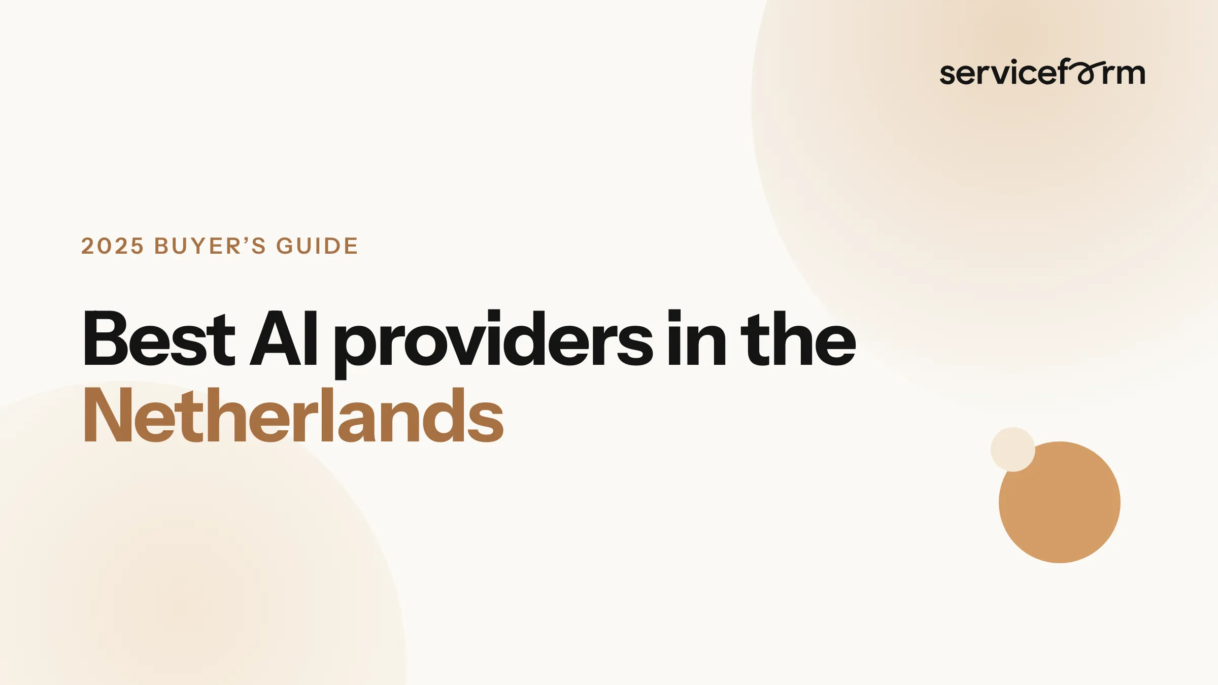 Best AI Providers in the Netherlands 2025